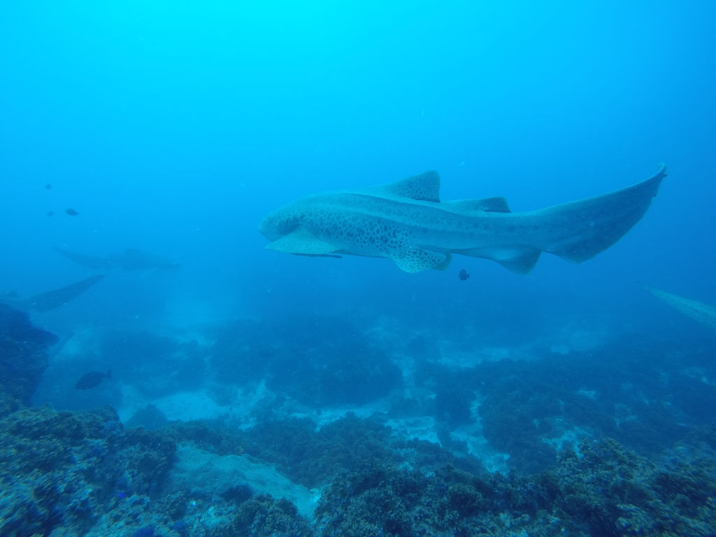 d57e04ca-4fb2-4639-8a06-074974cfdc00