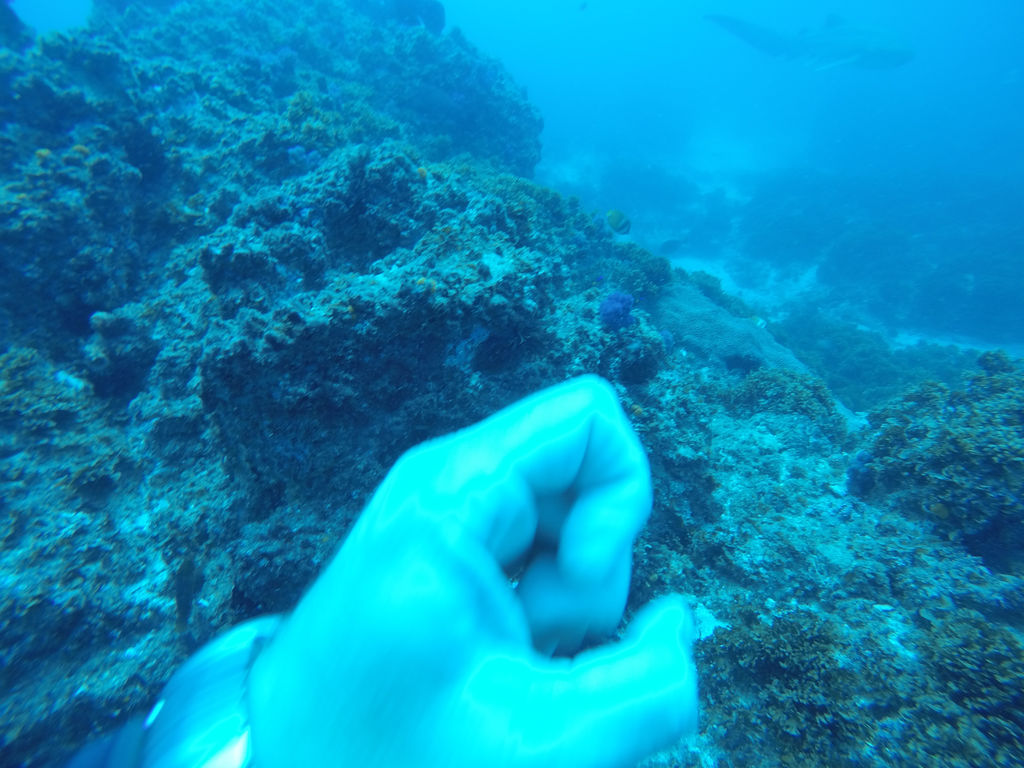 d57e04ca-4fb2-4639-8a06-074974cfdc00