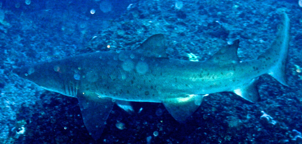 6e3121c8-ee2c-4503-8234-6516d6a662f5