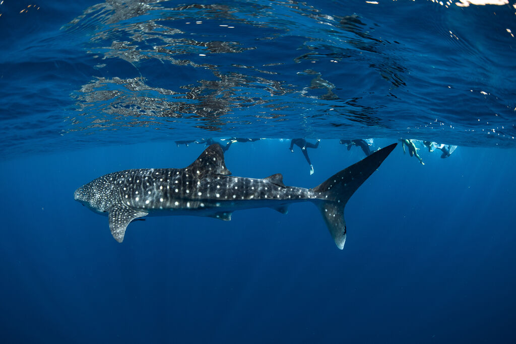 fdbb902b-0f8d-43c9-ae7f-691c09435ff8