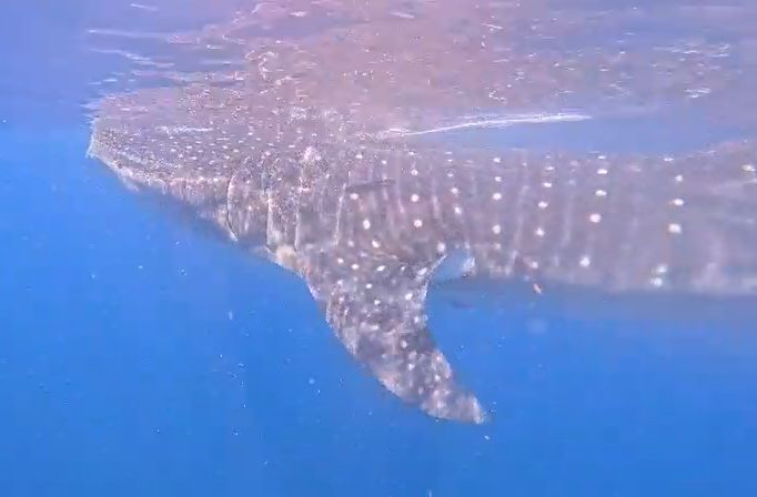 411e1fb5-794c-42d8-9129-95847010ccf5