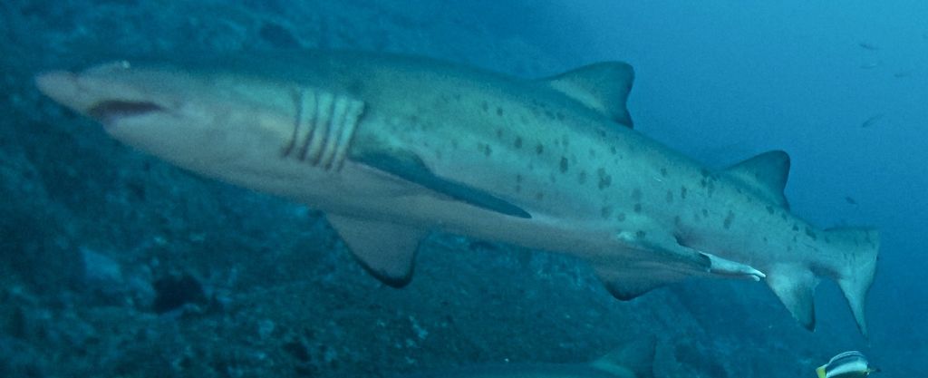 a0c923fd-14ec-4069-ae9a-83a55ba7d122