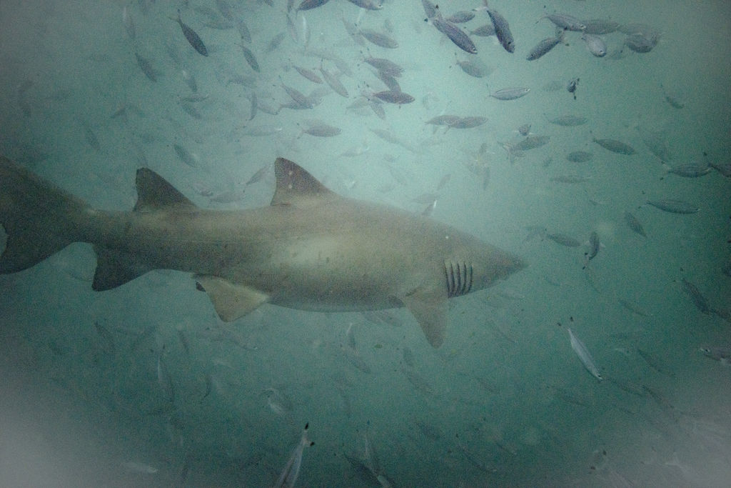 3f6da1e5-109f-4ff8-b51a-77349a33cc9c