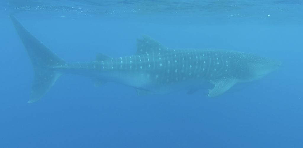 dc7a7a22-be07-4ccf-b254-f7e45f0ea323