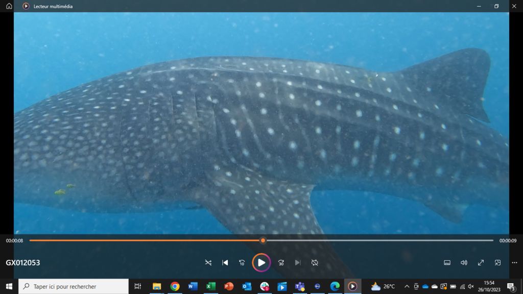 cc087614-079f-431d-87ca-eaaca32b64d0