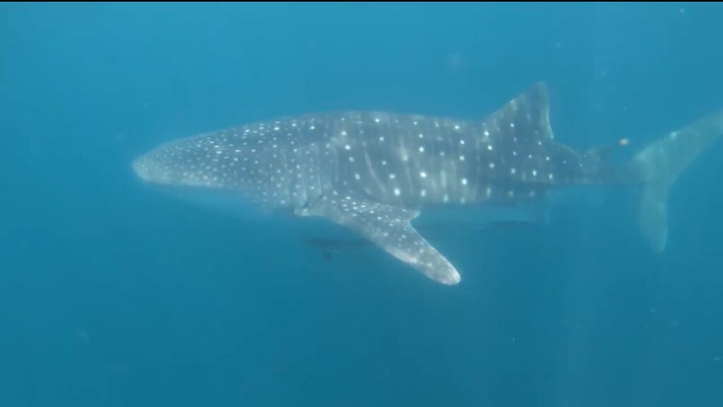 0ab7883d-b698-4e44-a1f1-89bc775a5e34