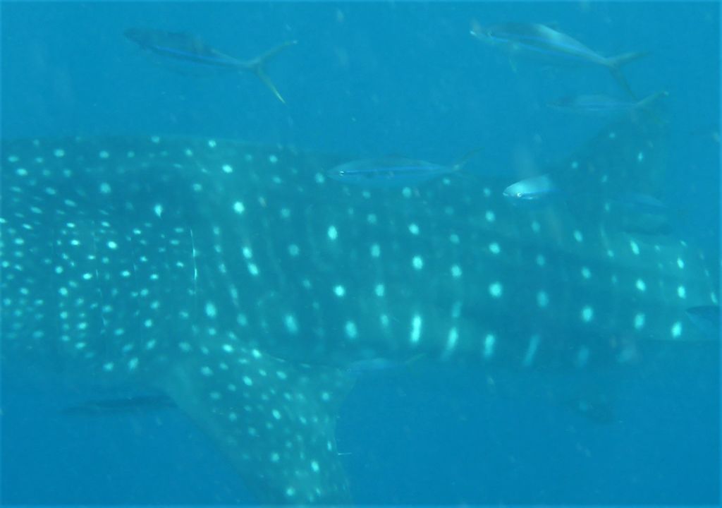 9df9f41b-d95b-489e-8edf-28e7394d11a8