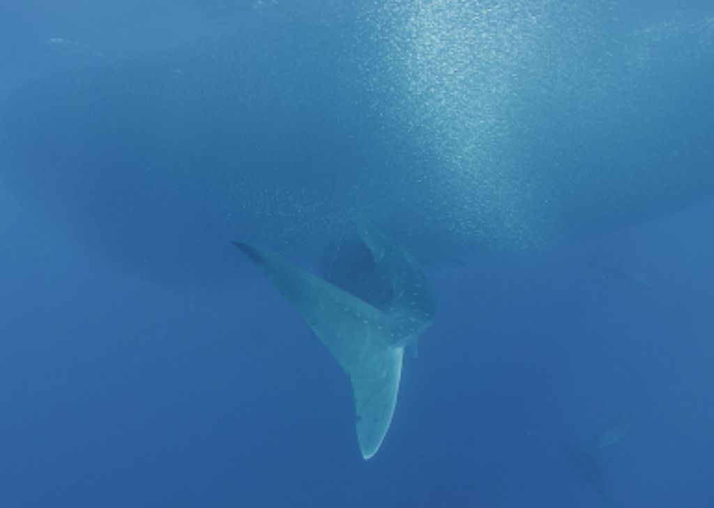 014f33bc-0727-48f6-b56b-14366a73f2a0