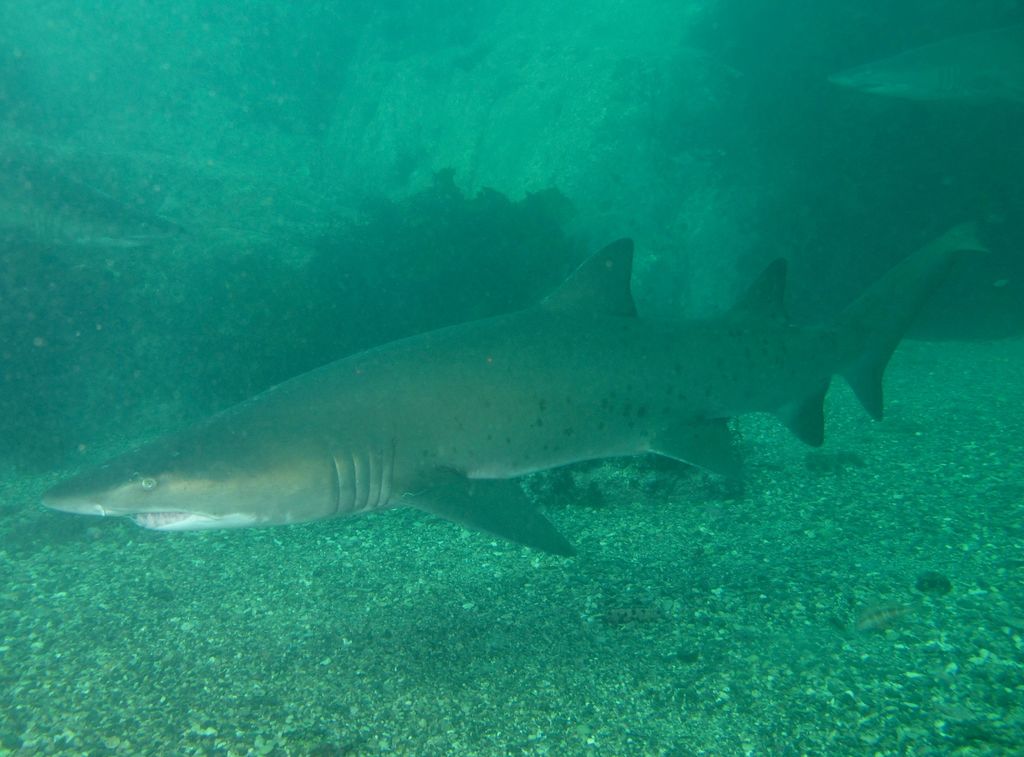 bcbfc54a-e7ef-426e-a7e4-d278dabd5ffa