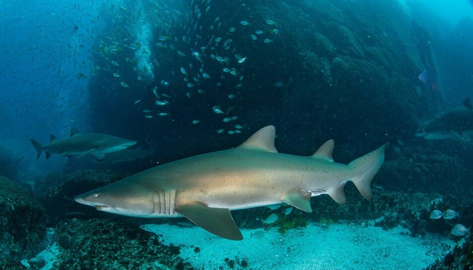 b4f236a3-157e-4e0a-8c6f-ead93eb4b9b0