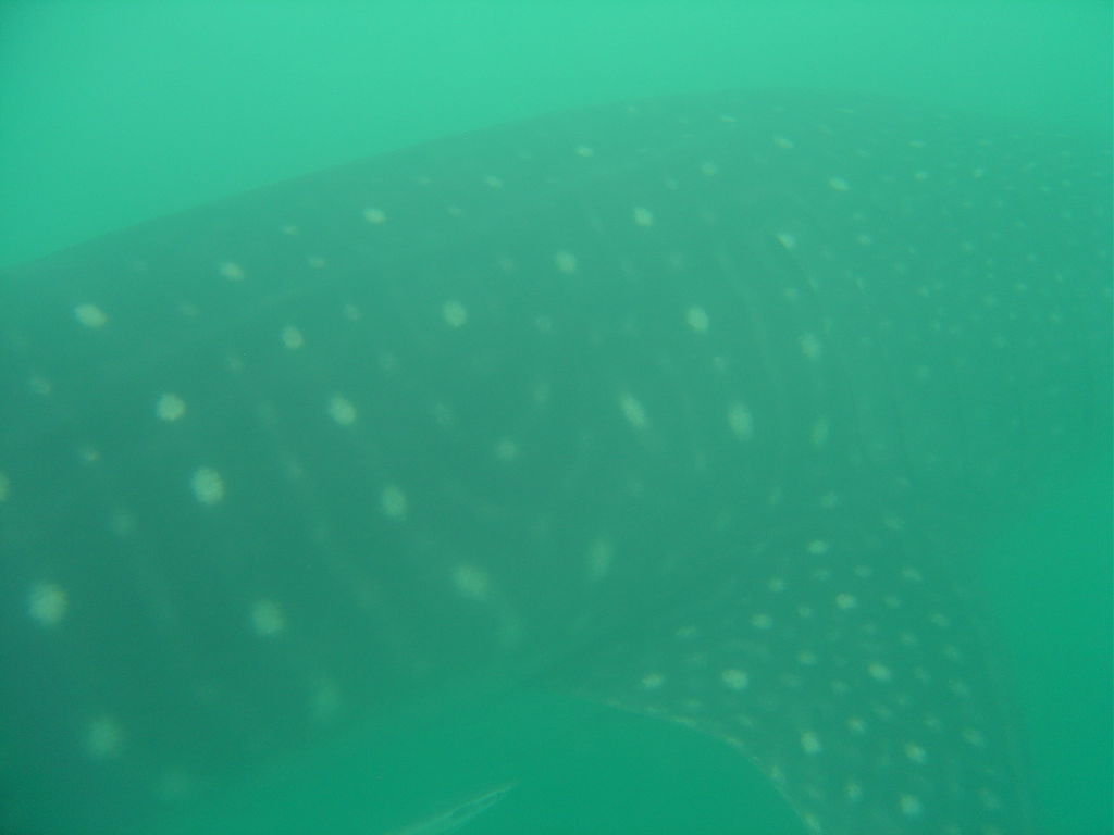 458646f6-0aa7-4906-9164-29c8965690fb