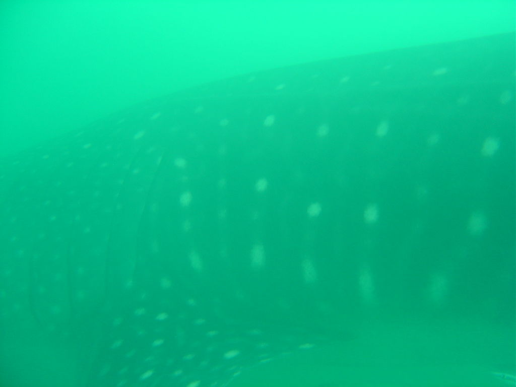 458646f6-0aa7-4906-9164-29c8965690fb