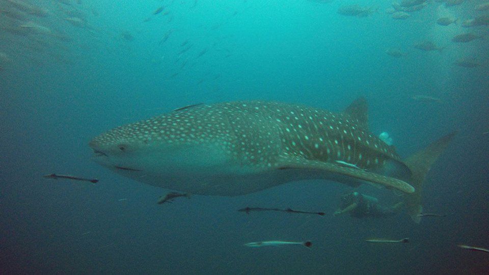 aa0386fc-5d95-4b18-a442-8e37e0a9484c