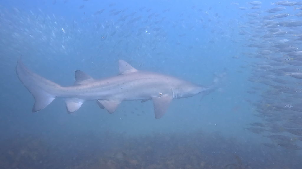 b8b1b600-46b8-4384-8992-c5633481a709