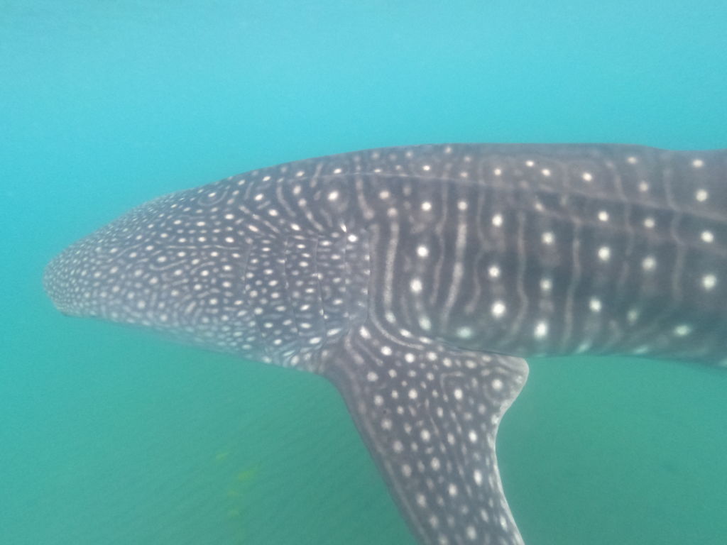 315bcf31-99d6-4897-9bd8-9315c248a1c7