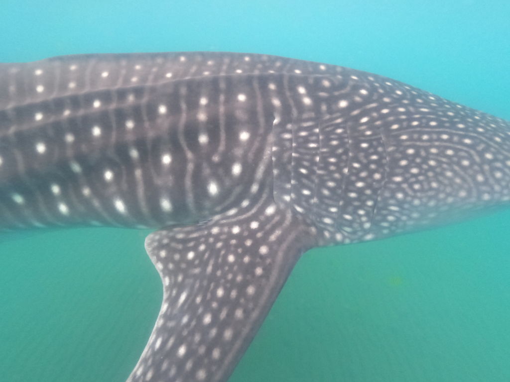 315bcf31-99d6-4897-9bd8-9315c248a1c7