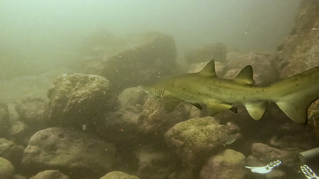 fb50d054-7ec6-47fc-ac58-ceb050860f92