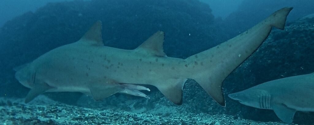 afe099b6-fc29-4b2e-836e-d39ee8e48323