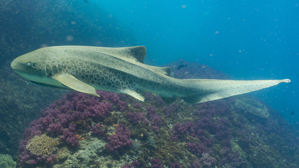 b5449b48-6042-4655-a1b7-74cb8280e2a5