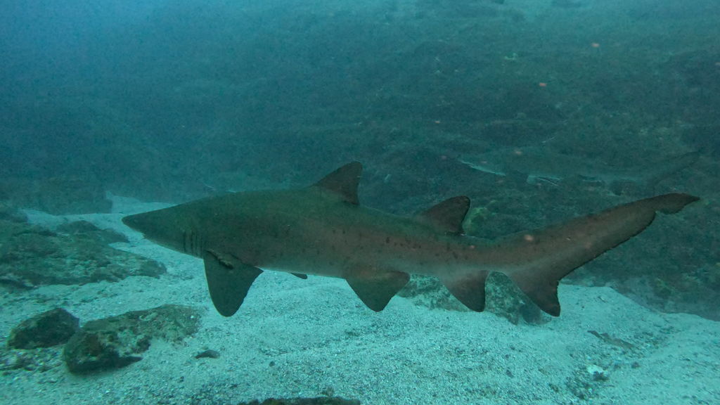 2c7fed76-ca51-4ef4-998d-46dbbeba5435