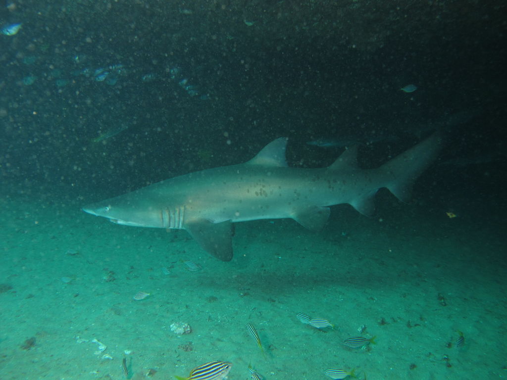 c1dcd73a-a8cd-495e-b5a2-40e0cbbc9307