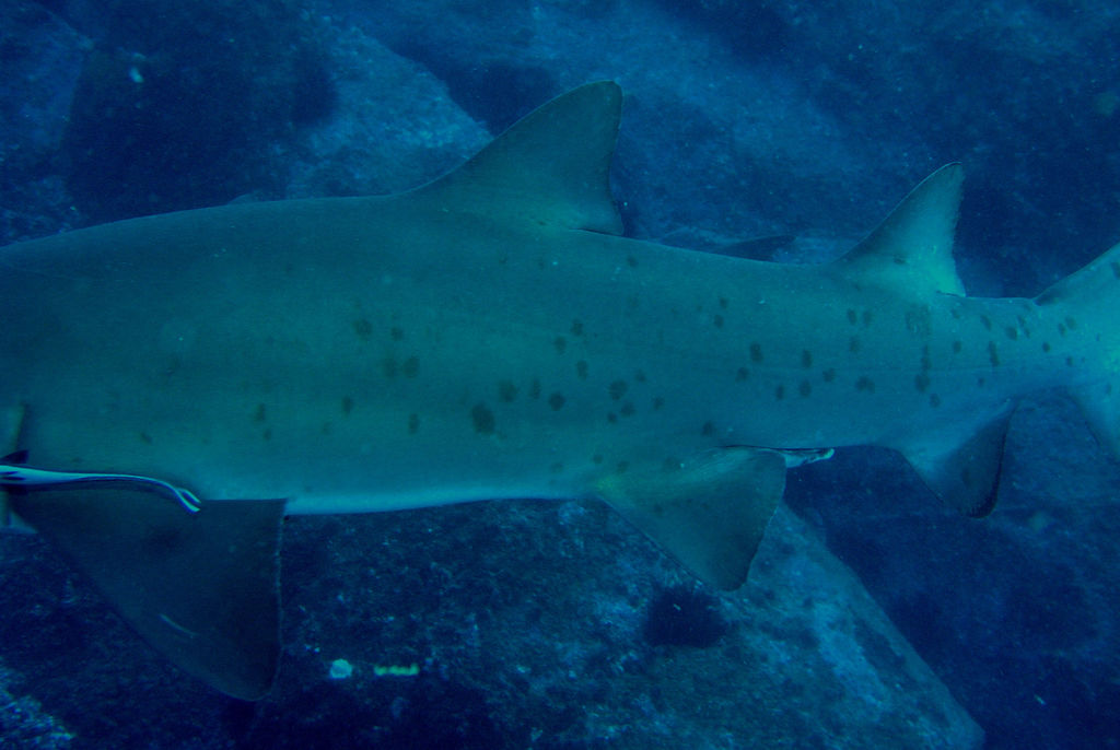 16cc3763-00d5-4467-8765-77752617c02a