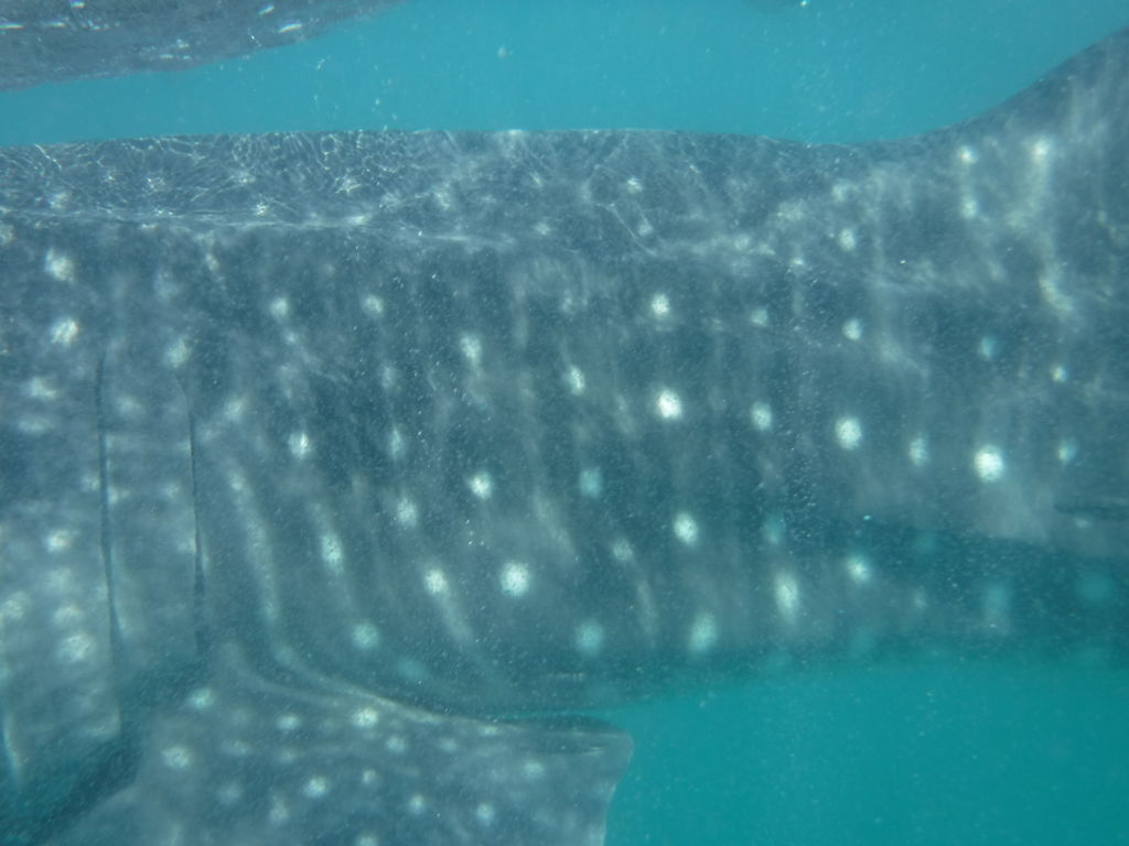 5667f829-42b1-4dd1-8efd-85d22d14f3b2