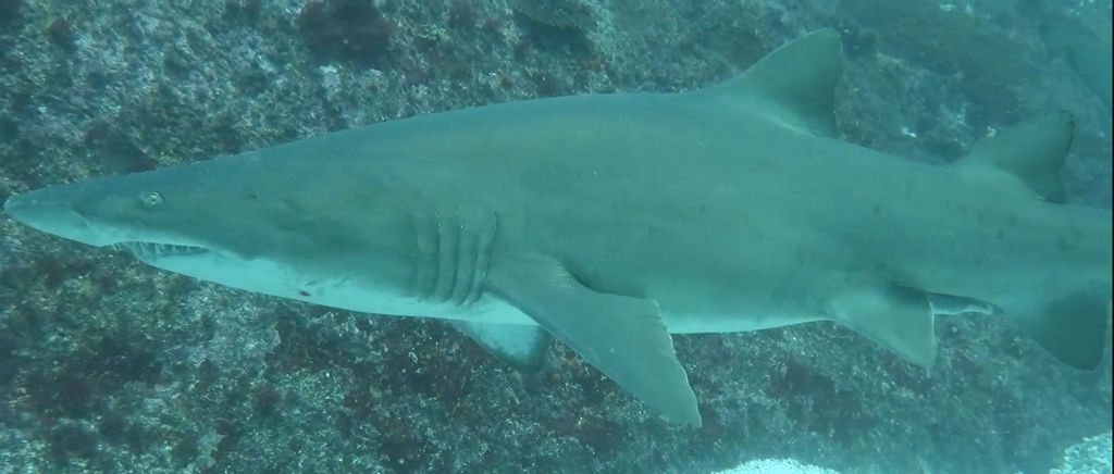 25eb64a1-ea42-49aa-bef5-7404d915fde1